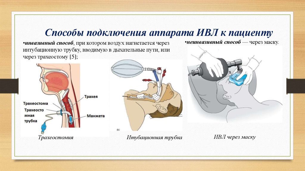 Сисястая русская брюнетка принимает сперму в рот после анала