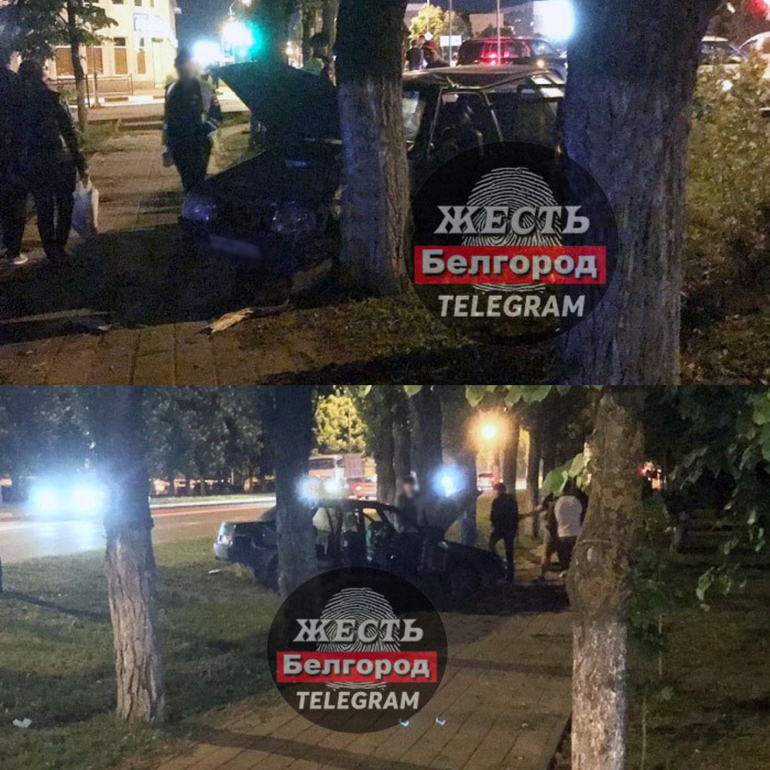 Проститутки Белгород Район Северный