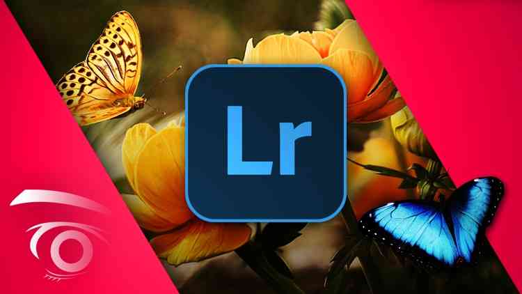 Adobe Lightroom Classic CC: Master the Develop Module udemy coupon