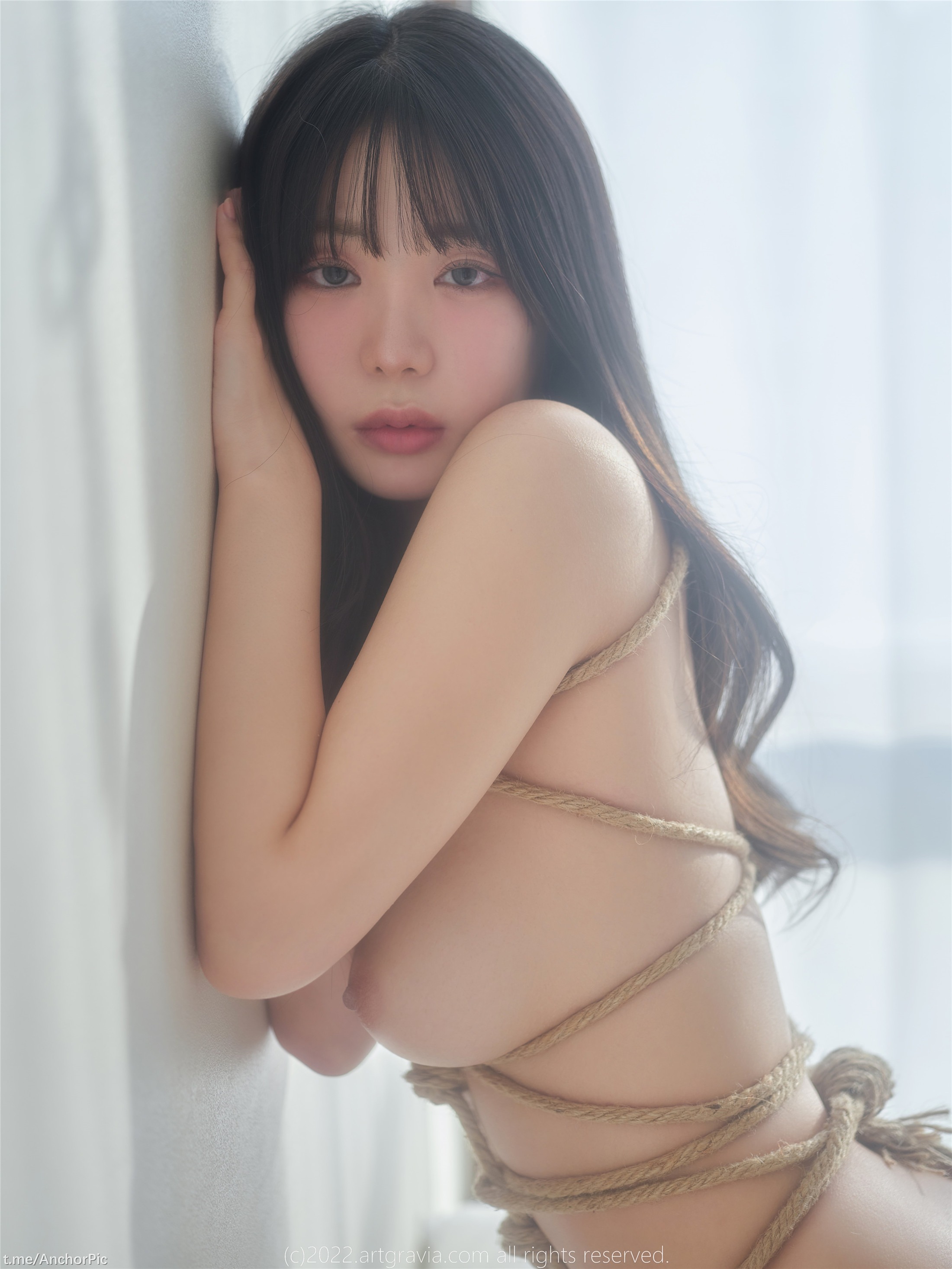 [ArtGravia] VOL.464 Wuyo 100P 65