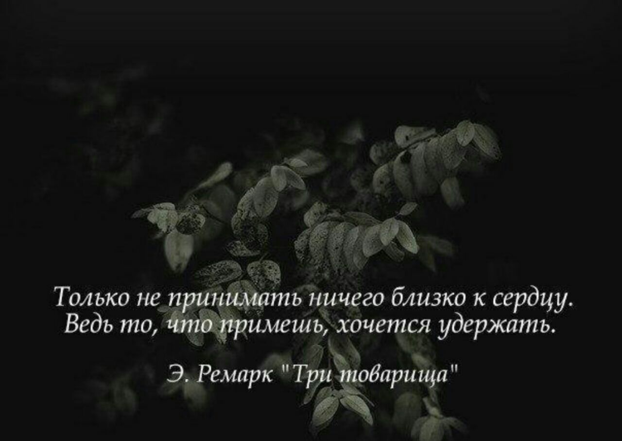 Недалекий ничего не знающий не понимающий человек. Только не принимать ничего близко к сердцу. Ремарк не принимай ничего близко к сердцу. Только не принимай ничего близко к сердцу. Ремарк только не принимать ничего близко к сердцу.