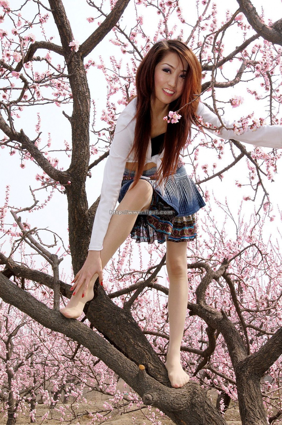 [Image: 00933758fb8be657350bb.jpg]