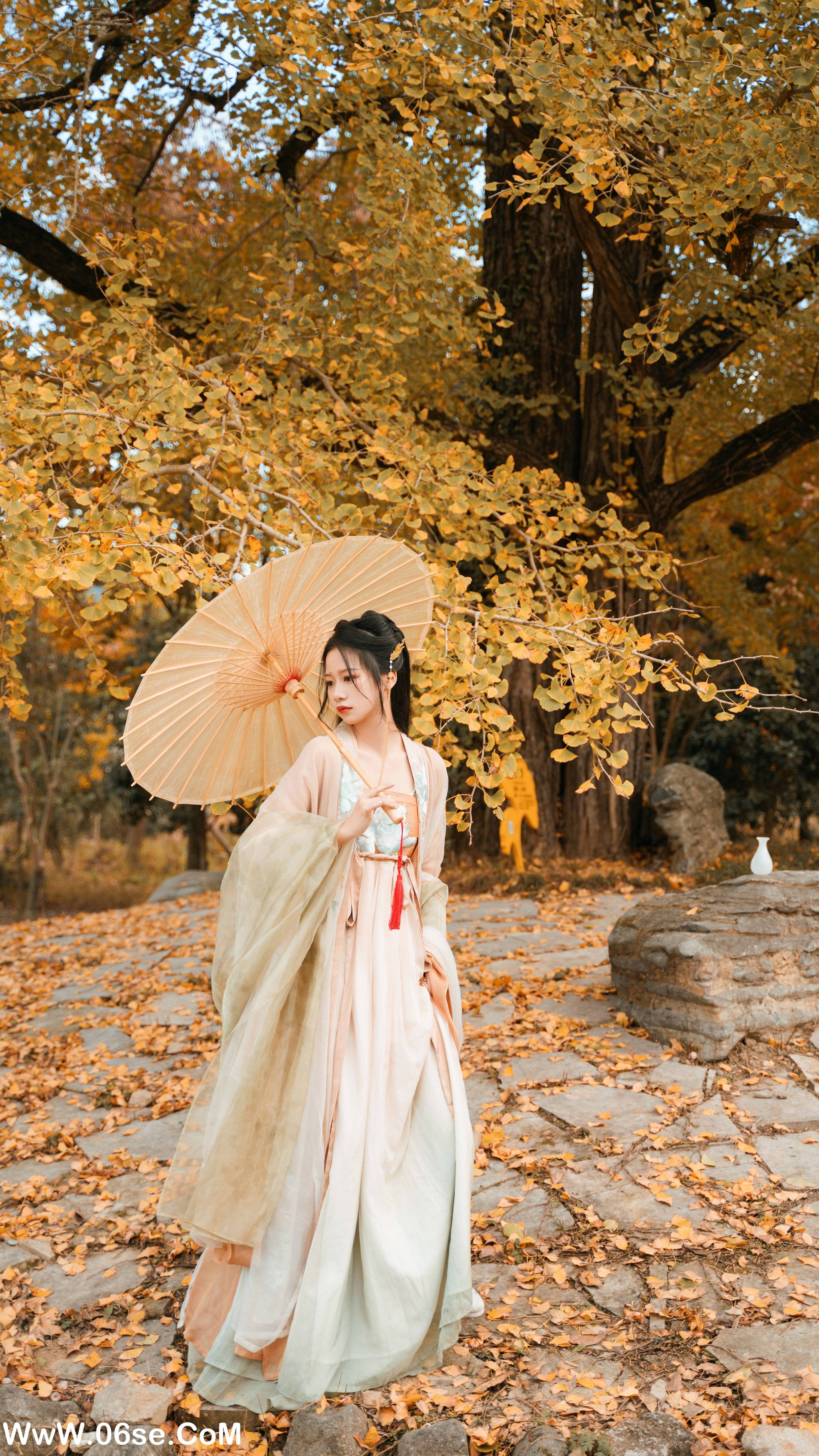 图片[23]-[YITUYU艺图语]2022.12.12 银杏树下 旺旺小小舒[38+1P／467MB]-六色网