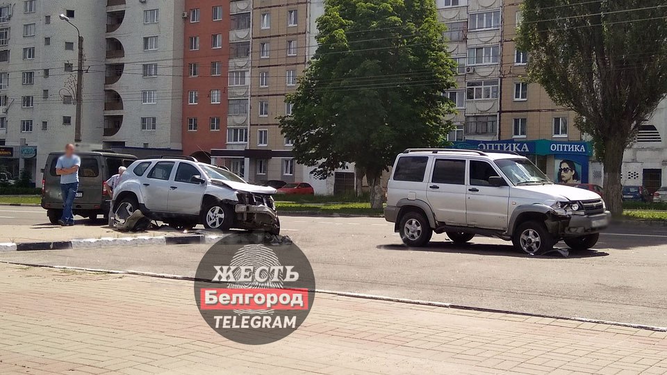 Г белгород жесть