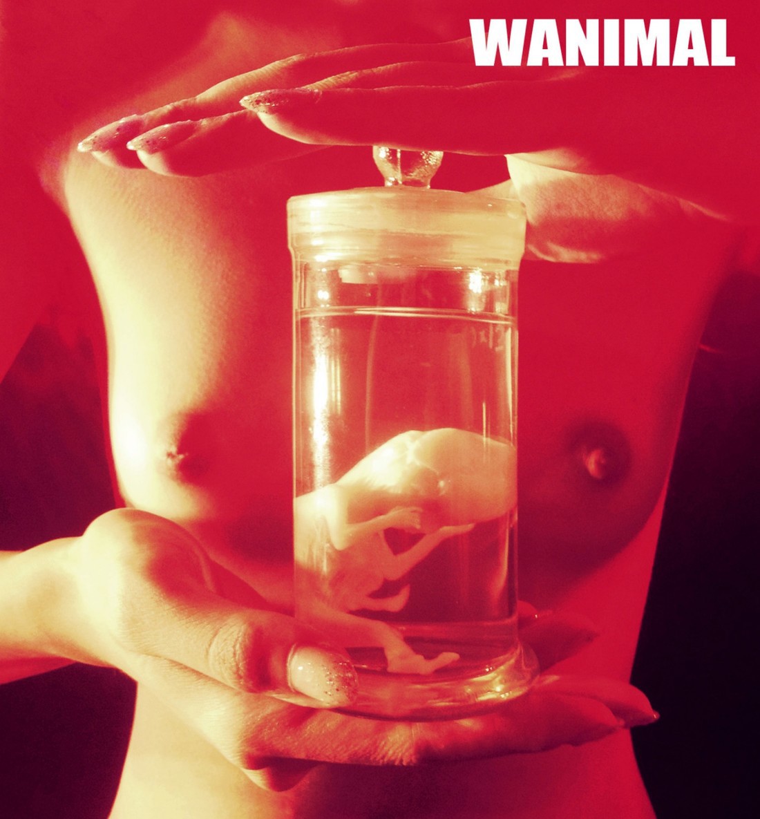 [WANIMAL王動系列] Tumblr博客寫真作品VIP大尺度全集4 Set.01 7