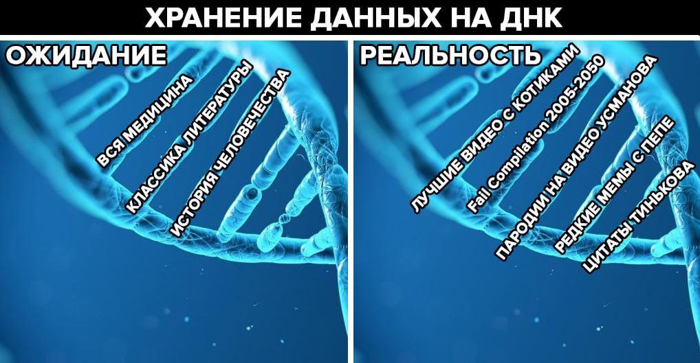 Дай биологию. Хранение данных в ДНК. Хранение информации в ДНК. ДНК как средство хранения информации. Хранение данных в ДНК фото.