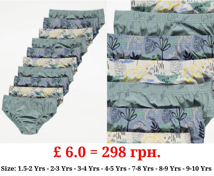Sage Green Dinosaur Briefs 10 Pack