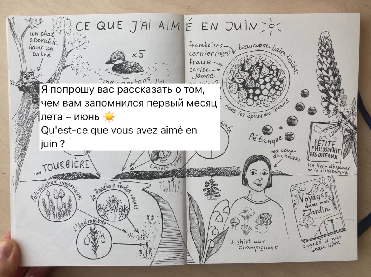 Как я не теряю мотивацию во французском – Telegraph