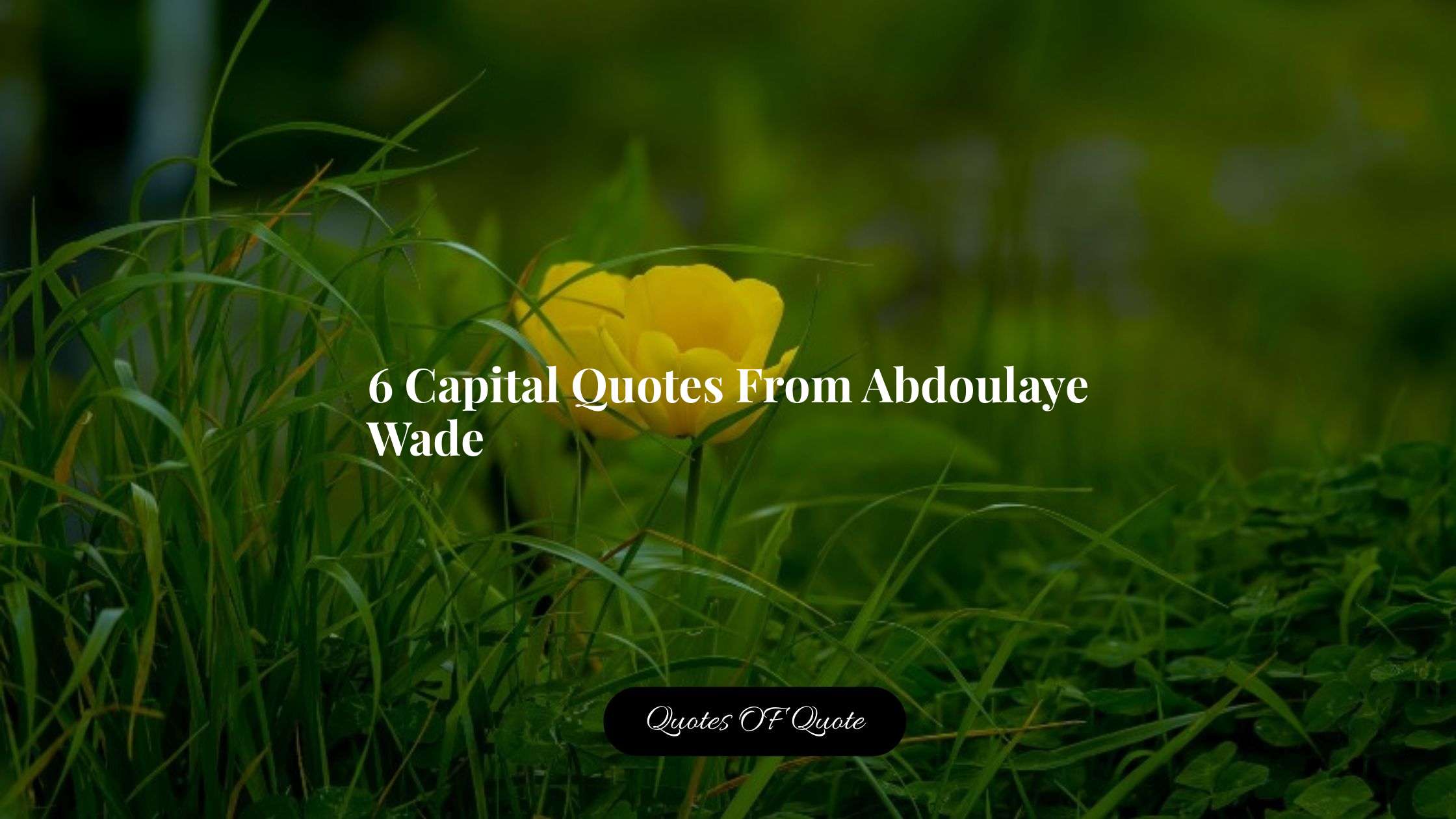 6 Capital Quotes From Abdoulaye Wade