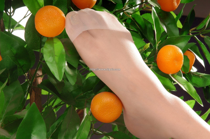 [Image: 03440abdf18948573ee97.jpg]