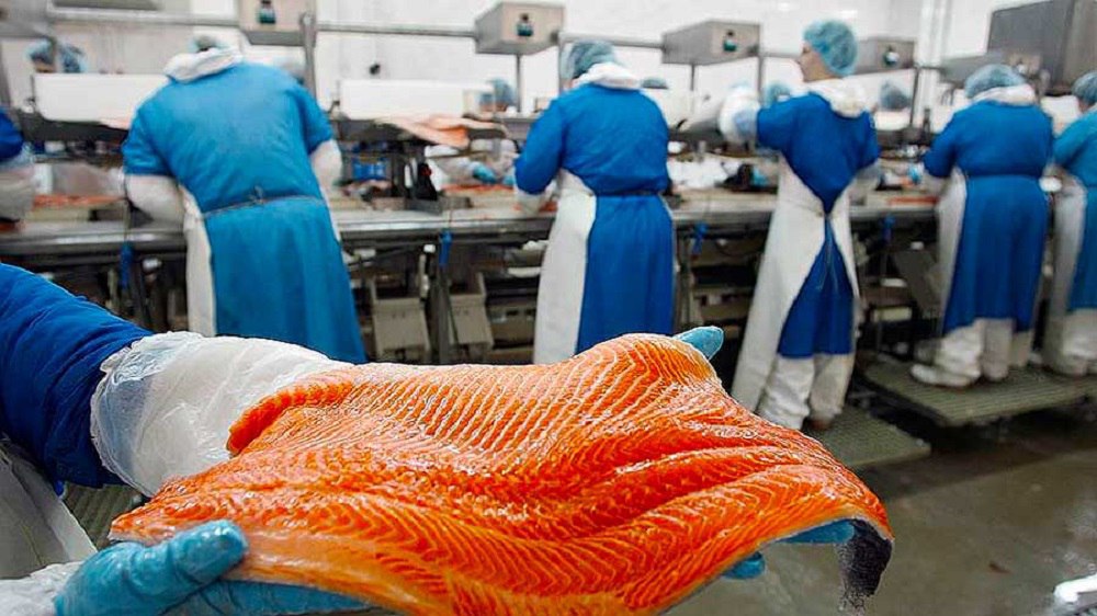 В Анадыре появится крупный рыбоперерабатывающий завод