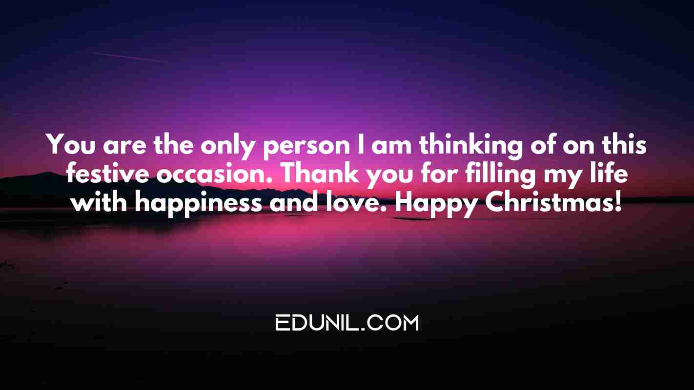 You are the only person I am thinking of on this festive occasion. Thank you for filling my life with happiness and love. Happy Christmas! - 
