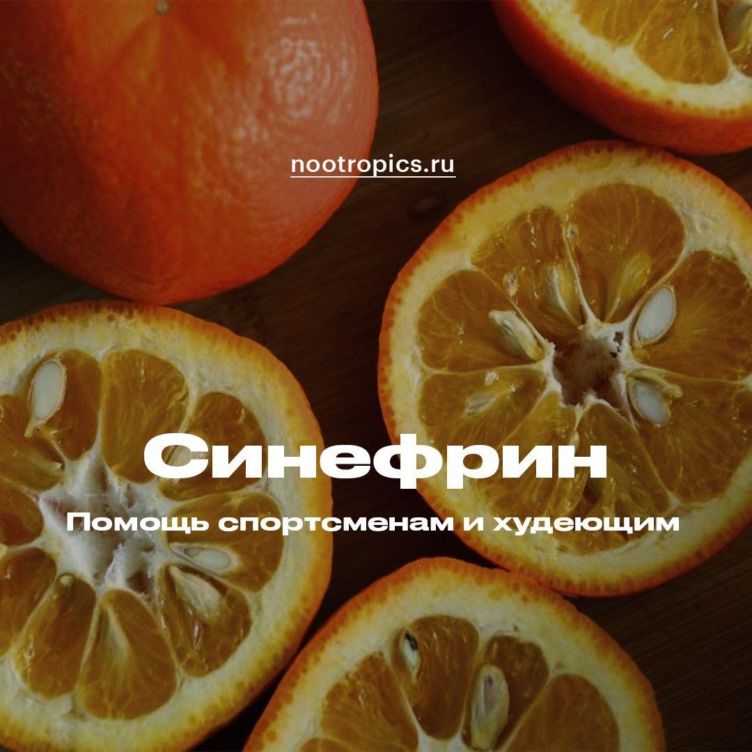 Mr. Lt NOOTROPICS - ноотропы, БАДы, биохакинг - @mrlt_nootropics -  Telemetrio