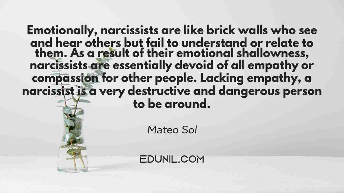 Emotionally, narcissists are like brick walls who see and hear others but fail to understand or relate to them. As a result of their emotional shallowness, narcissists are essentially devoid of all empathy or compassion for other people. Lacking empathy, a narcissist is a very destructive and dangerous person to be around. - Mateo Sol 