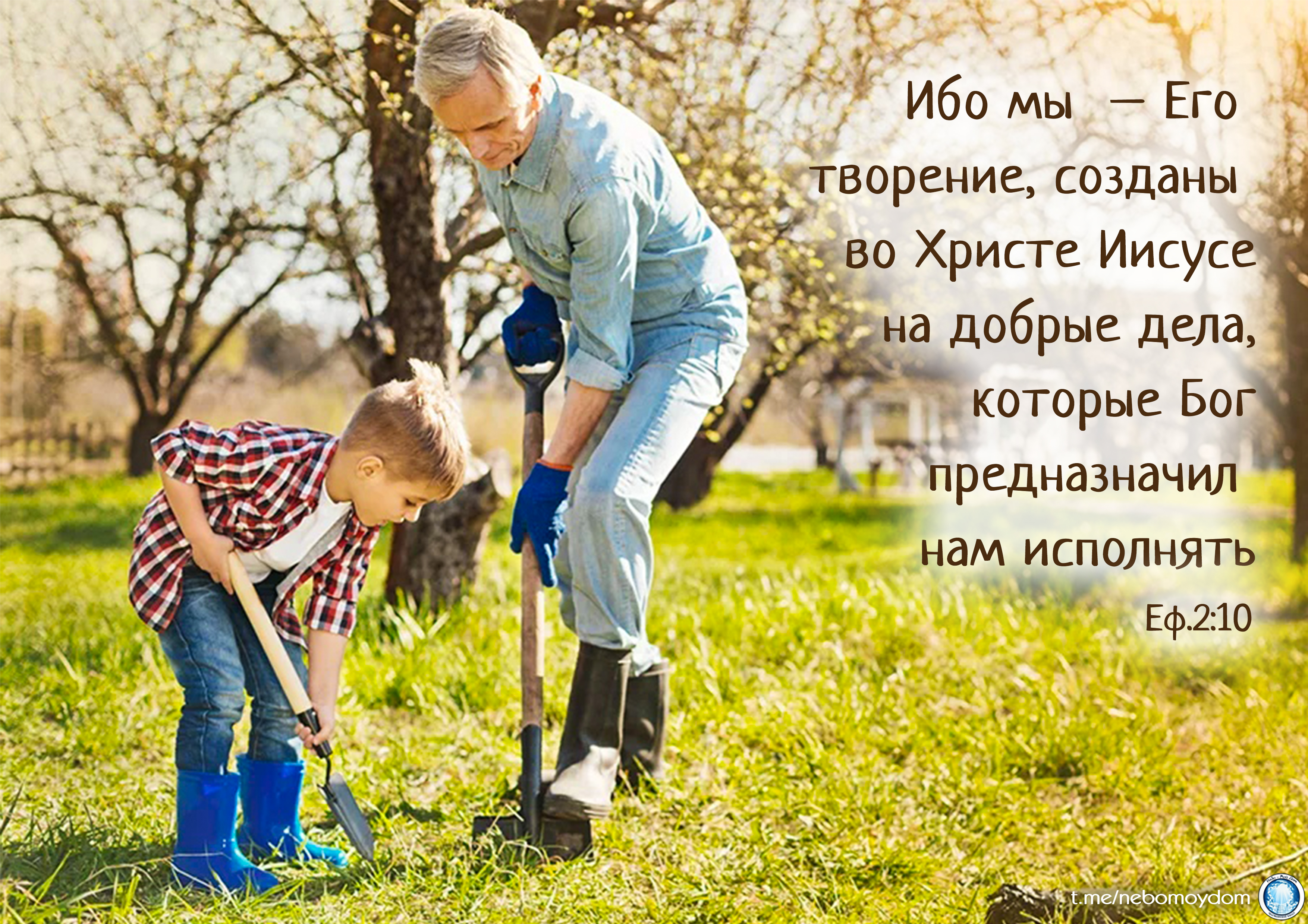 Дедушка посадил дерево 54 года. Дед и внук в саду. Папа в саду. Дети помогают в огороде. Дедушка и дети в саду.