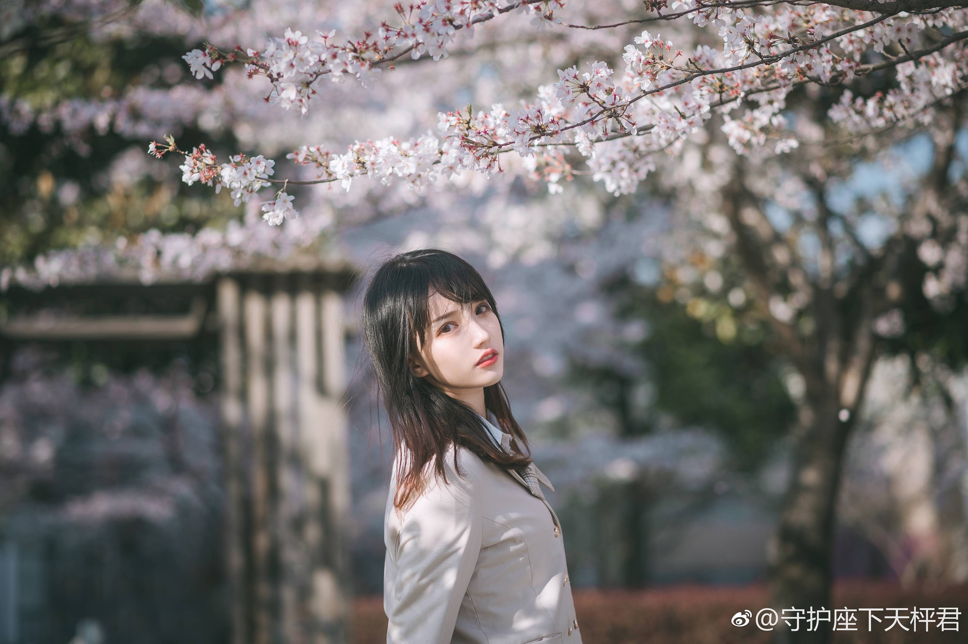 图片[26]-049 迷失幻境系列 – 第049期（JK制服） [104P-316.27 MB]-六色网