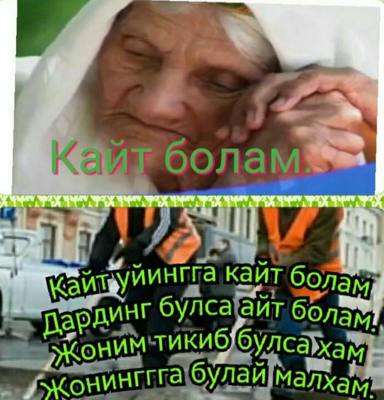 болам. статус мусофир. мусофир. болам шер. мусофир болам.
