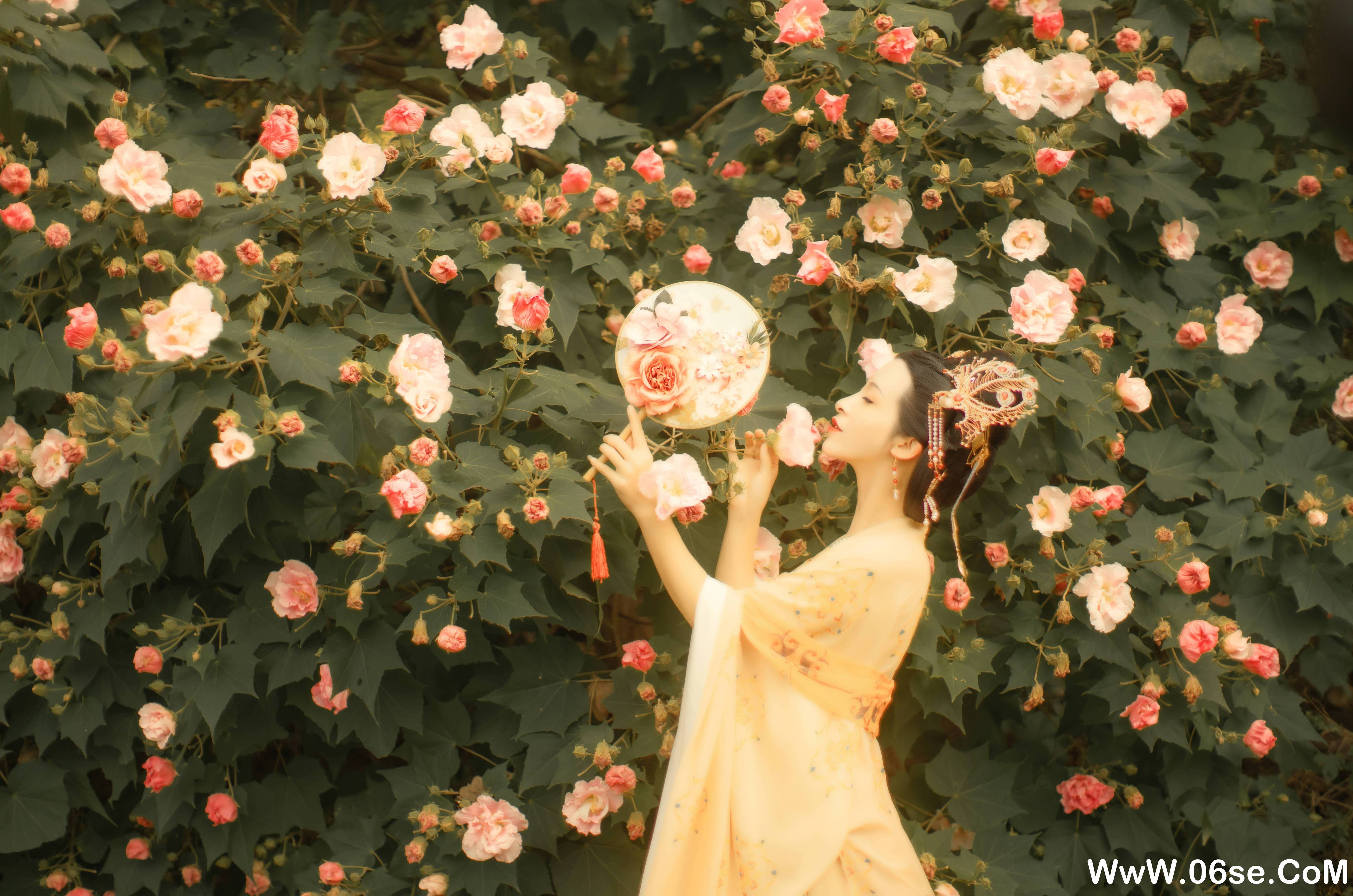 图片[24]-[YITUYU艺图语]2021.11.18 芙蓉词 修水凝花[37+1P／515MB]-六色网