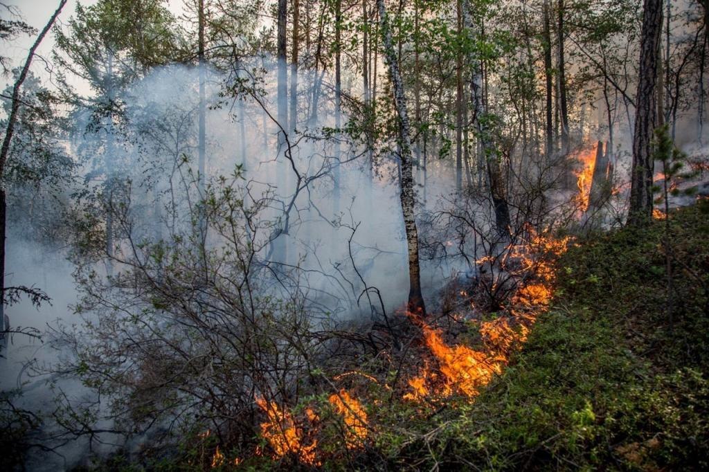 Пятнадцать лесных пожаров тушат в Хабаровском крае после праздников