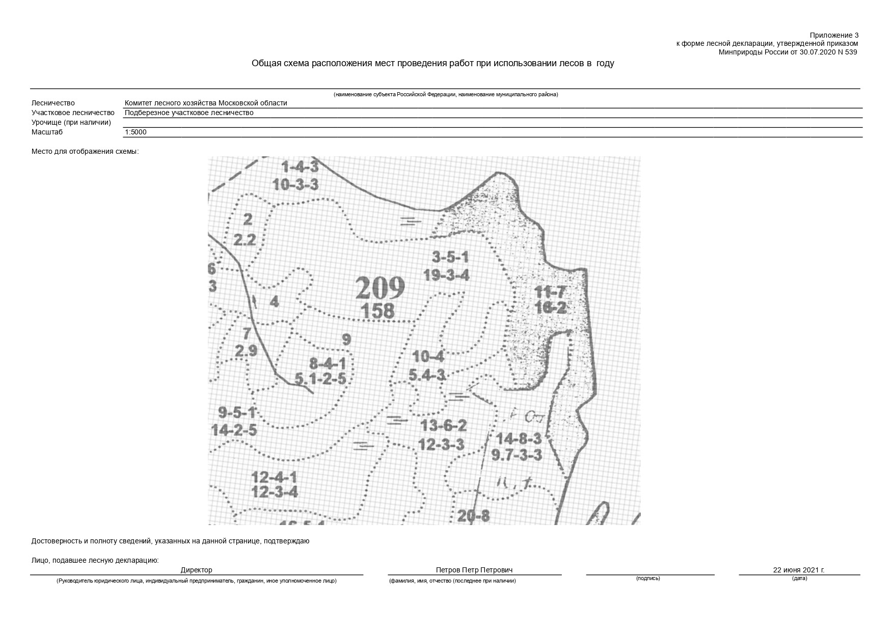 Тематическая лесная карта в проекте освоения лесов