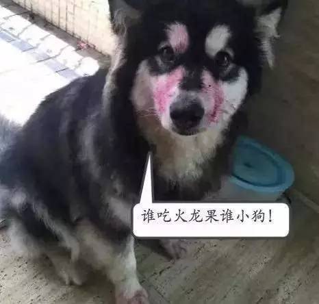 https://telegra.ph/file/061632aeb2fa15b39e04f.jpg