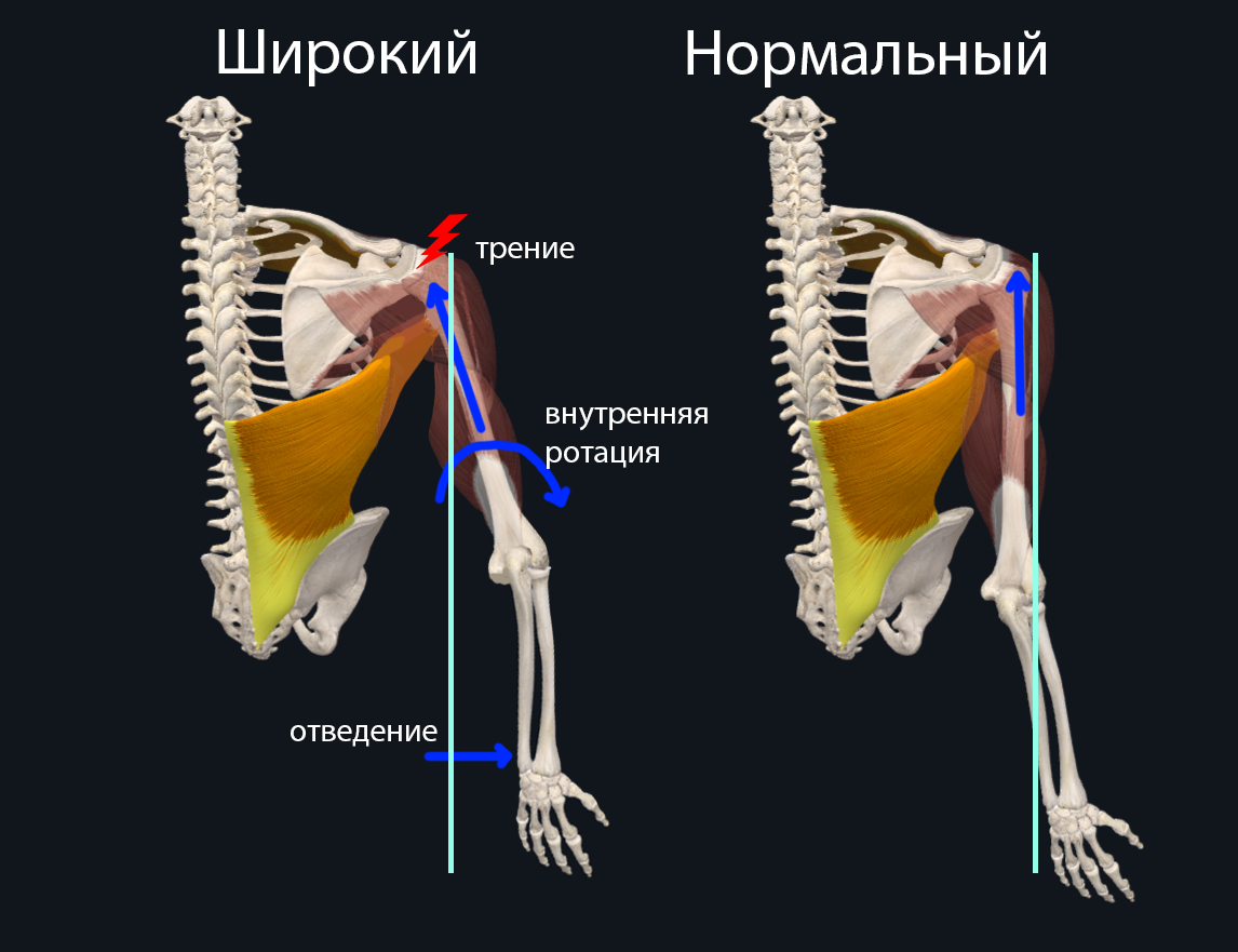 11: Как Правильно Делать Отжимания На Брусьях? – Telegraph