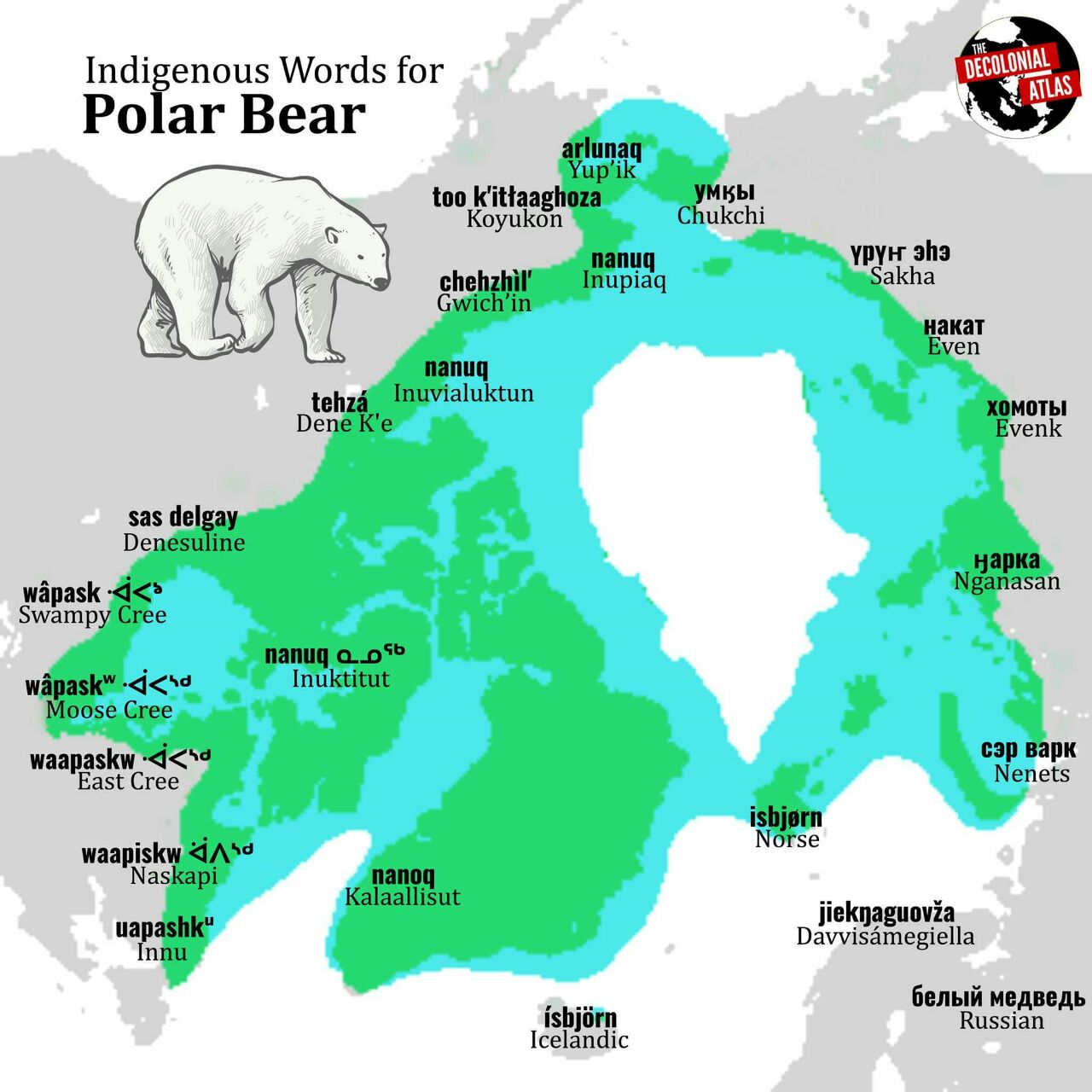 Карта где водятся медведи в россии