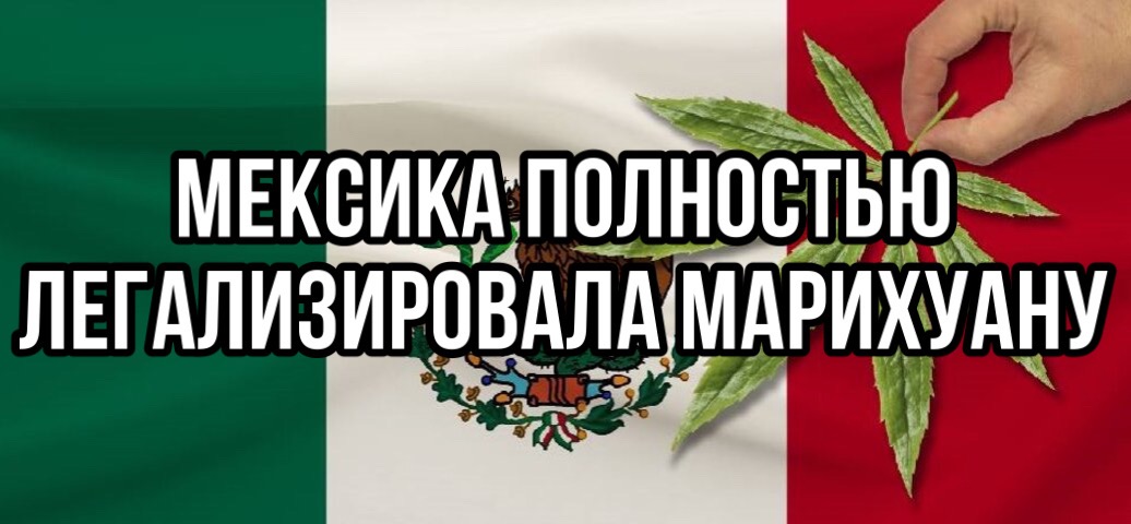 Мексика полностью легализировала марихуану – Telegraph