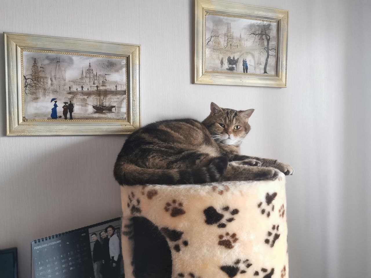 Коты и кошки крамника. Кошка Крамника. Кот и кошка Крамника. Коты в повозке.