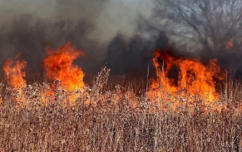 На территории Хабаровского края действует особый противопожарный режим