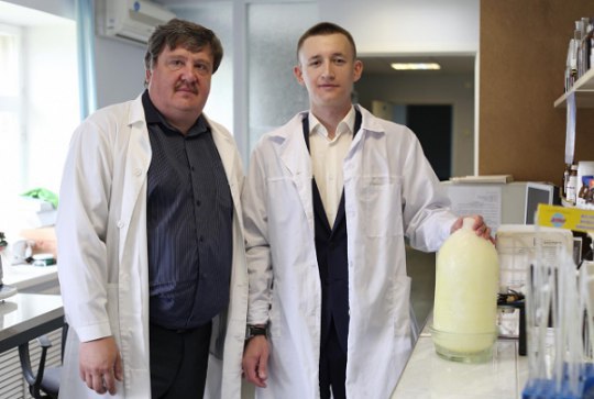 Вятские ученые разрабатывают удобрения из отходов молочного производства