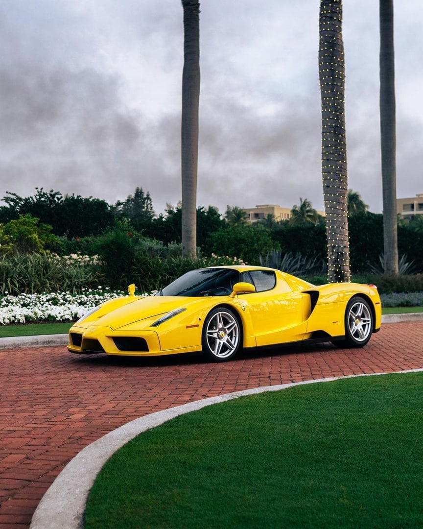 ferrari enzo