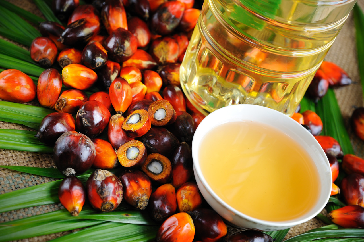 Пальмовое масло уступило сливочному по темпам роста импорта