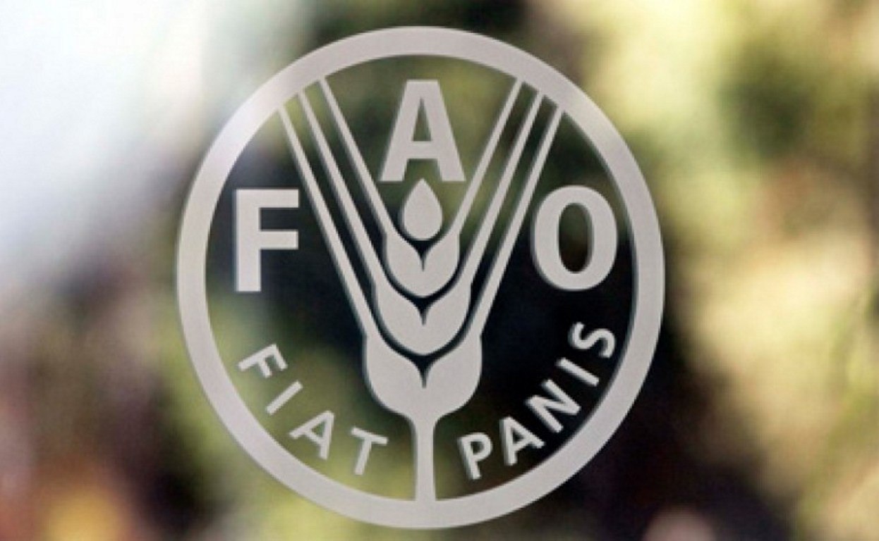 Фао оон. Продовольственная и сельскохозяйственная организация ООН. ФАО. ФАО логотип.