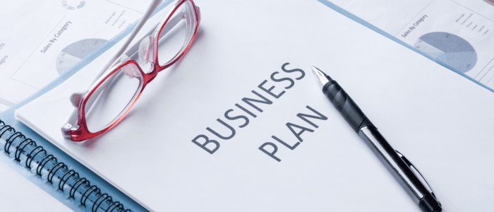 Заказать недорого и качественно бизнес план организации