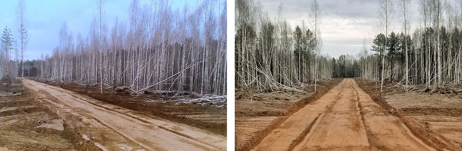 Междуречье на волге мой гектар