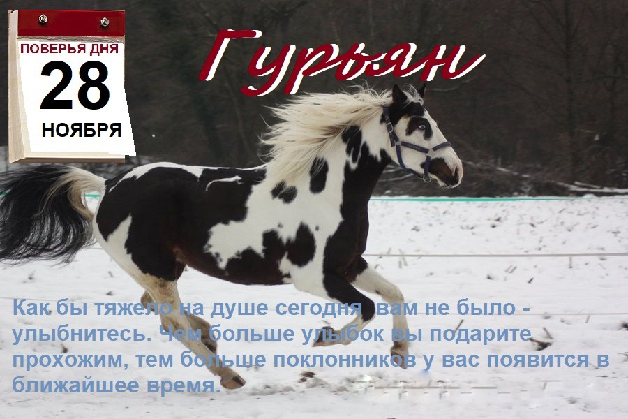 28 ноября. Гурьев день 28 ноября. Гурьев день 28 ноября приметы. Зима на пегой кобыле Гурьев день. 28 Ноября календарь.