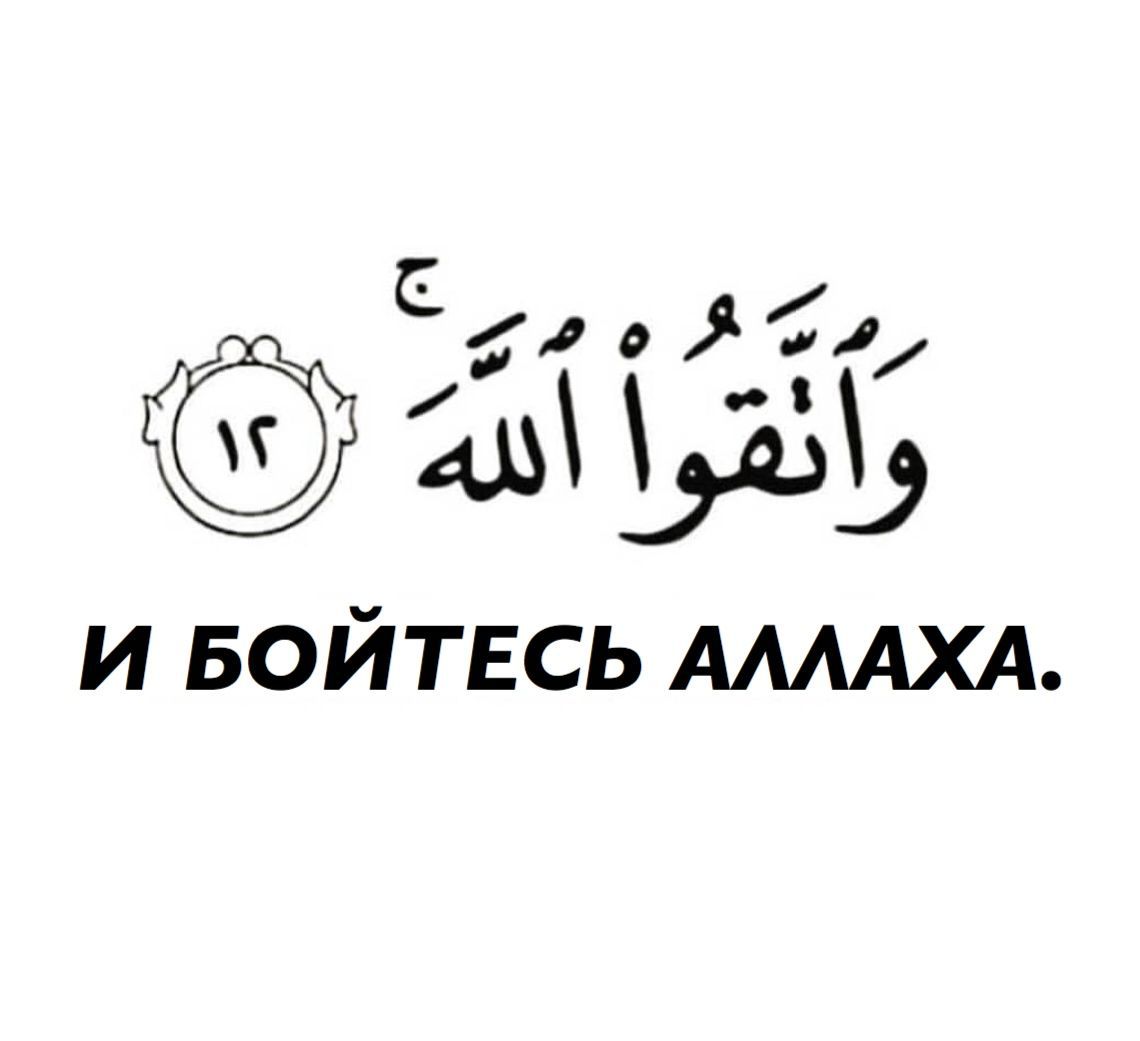 Бойтесь аллаха. Бойся Аллаха. Бойся только Аллаха. Боюсь только Аллаха. Побойся Аллаха.