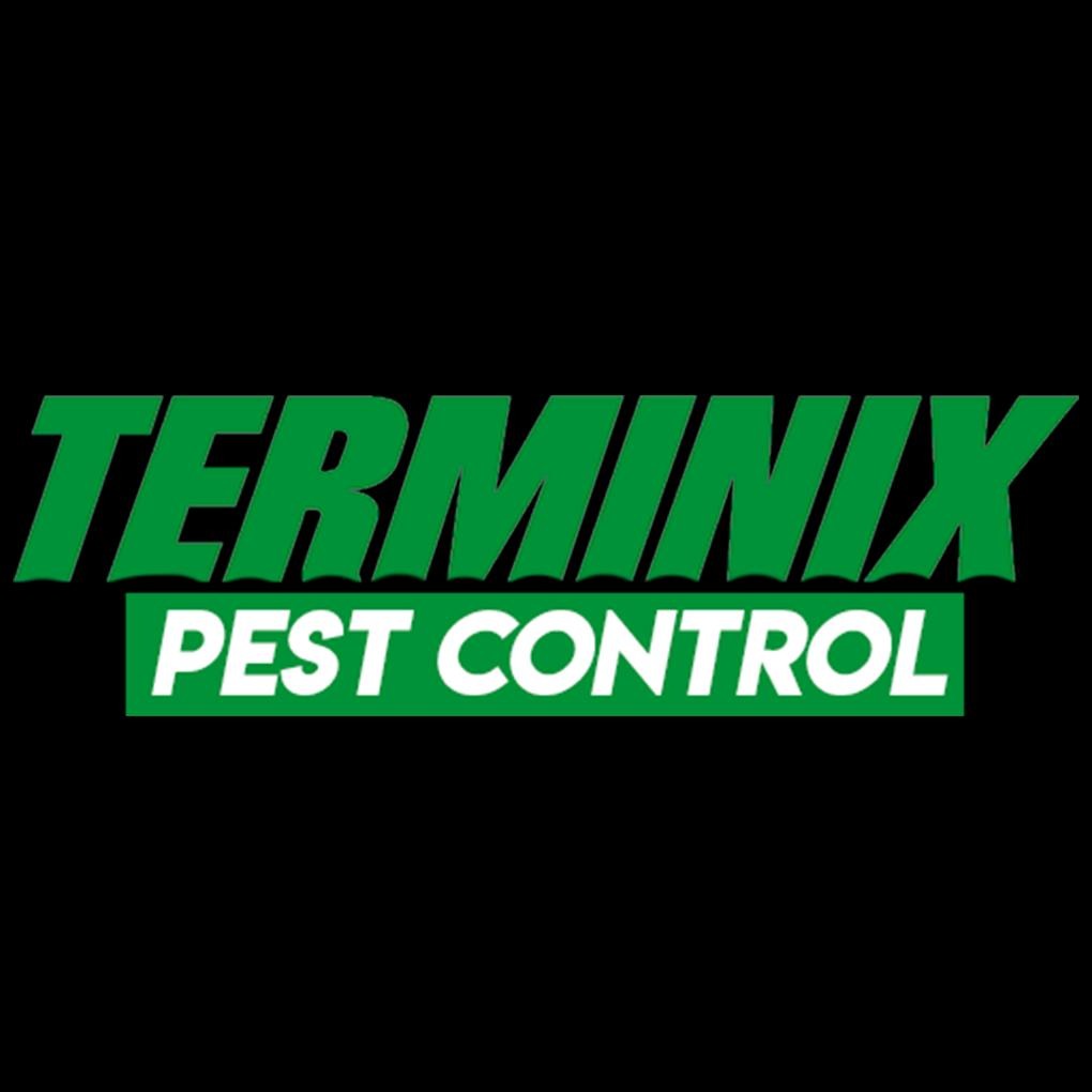 Get Supreme bug Control Services with Terminix Pest Control Telegraph