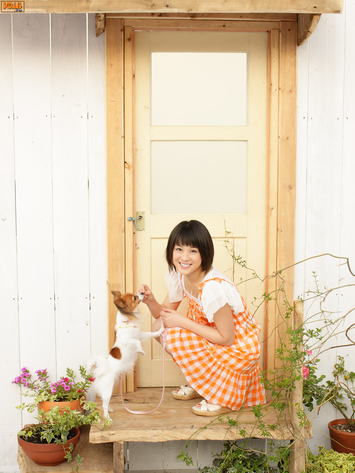 [Image: 0a4648ce41ea9701081bb.jpg]