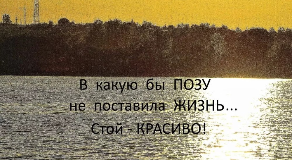 Жизнь стояла. В какую бы позу не поставила жизнь. В какую бы позу не поставила жизнь стой красиво. Красивое высказывание 2022. Цитаты если жизнь поставила тебя в позу.