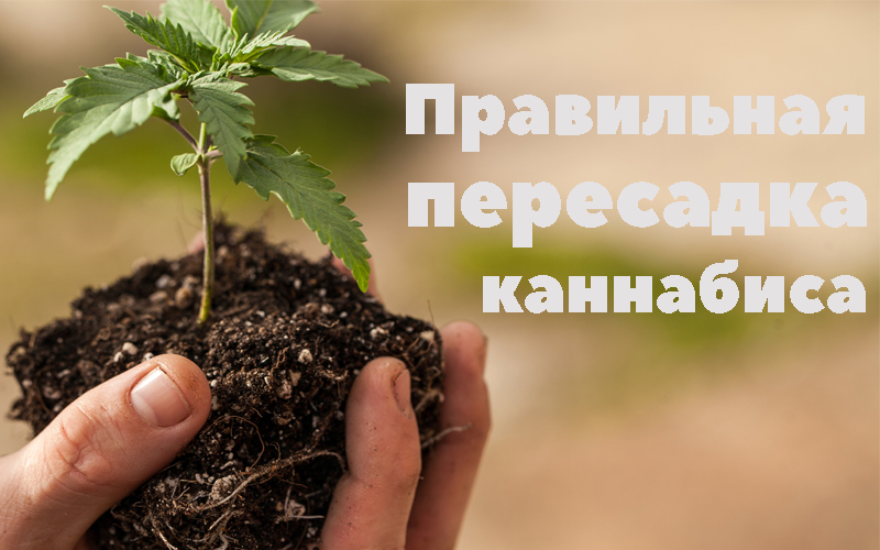 0a93e33d09df9eb76975d.png