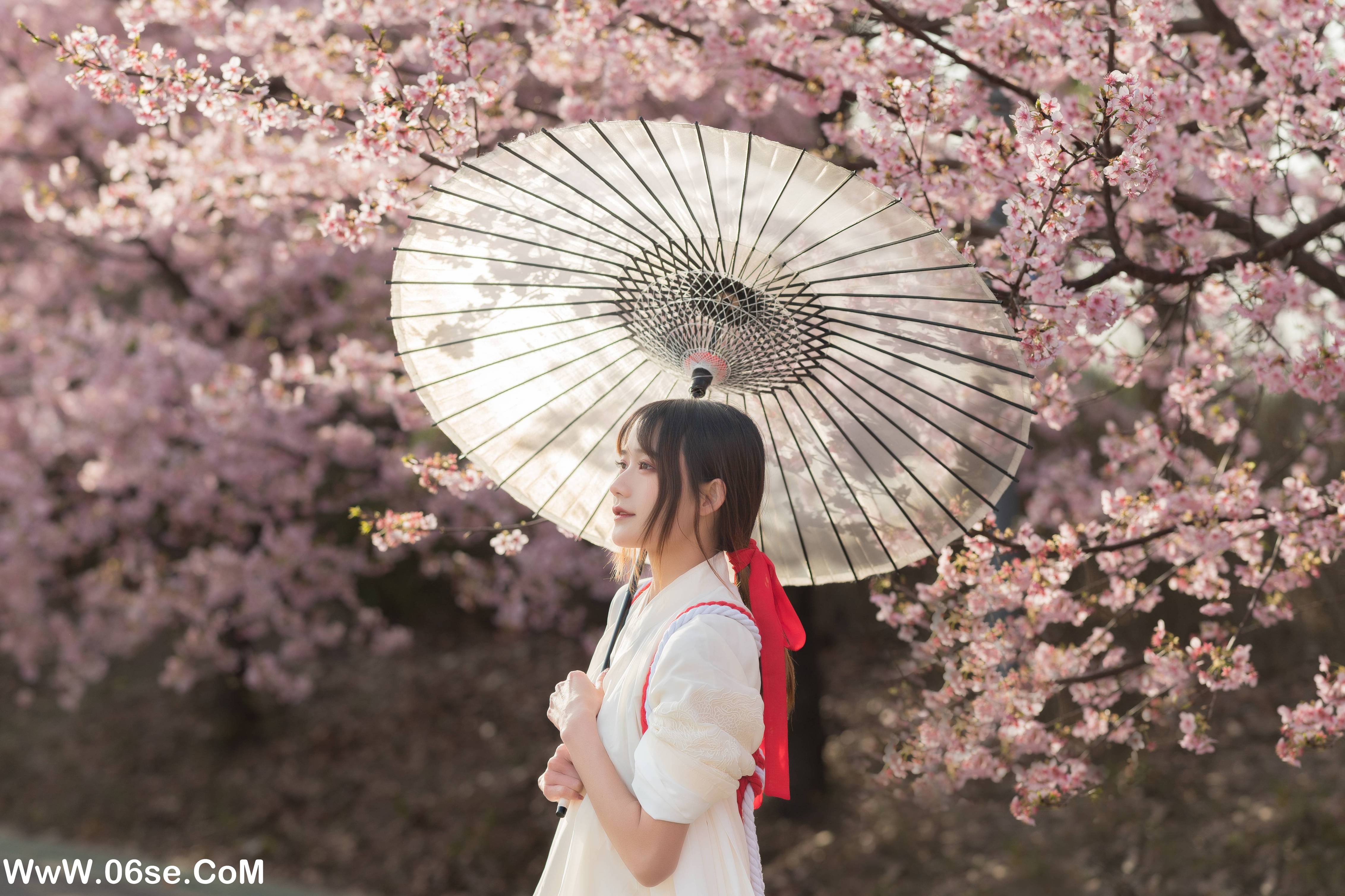 图片[4]-[YITUYU艺图语]2022.06.30 樱语 兔子Zzz不吃胡萝卜[28P-243.7M]-六色网