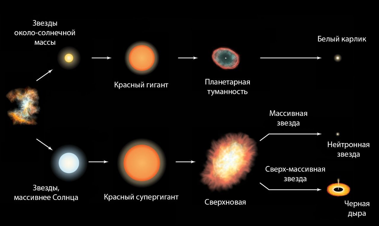 Эволюция звезд рисунок