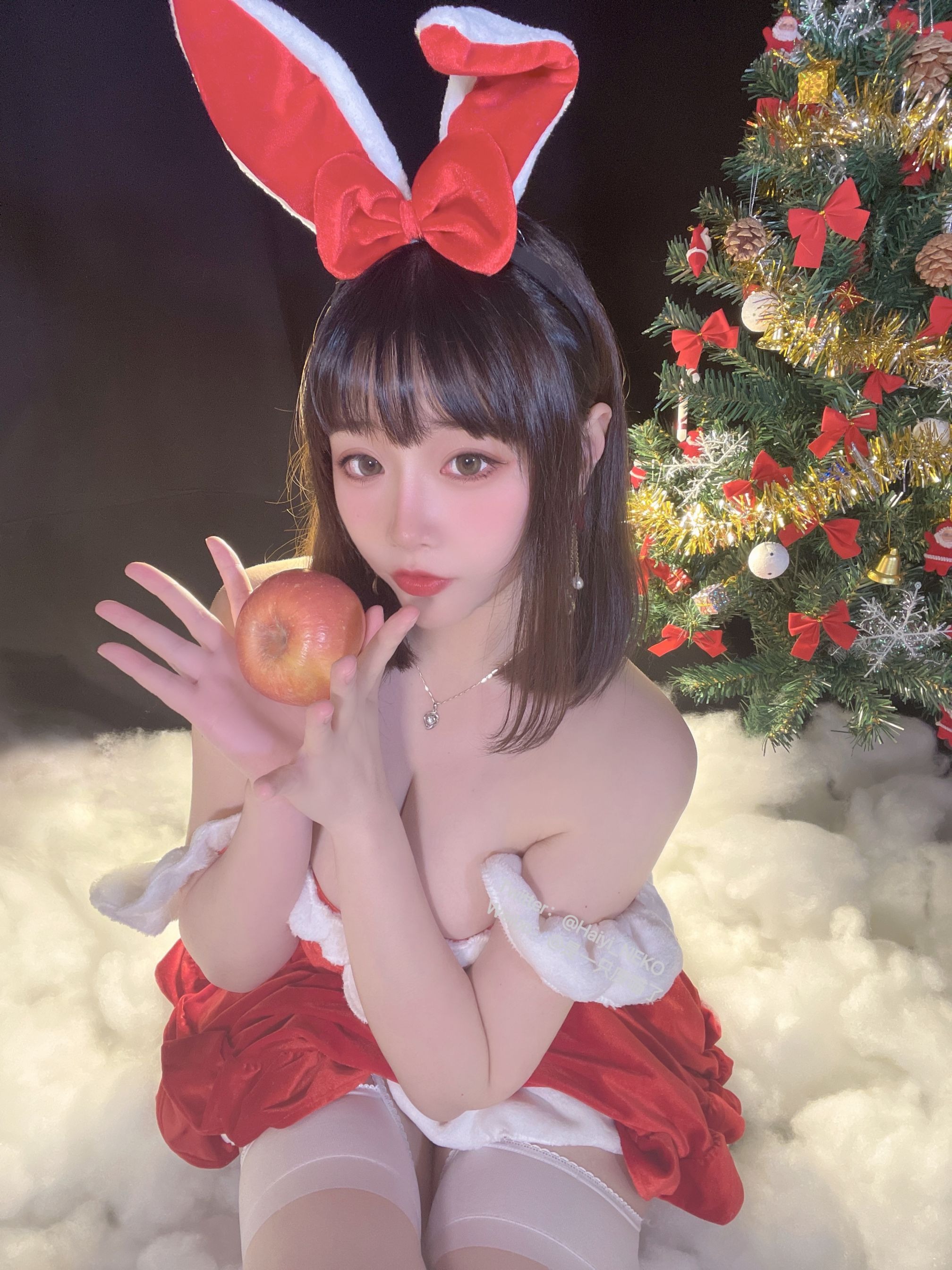 一只废喵 圣诞比基尼+连衣裙 [72P3V-620MB] 61