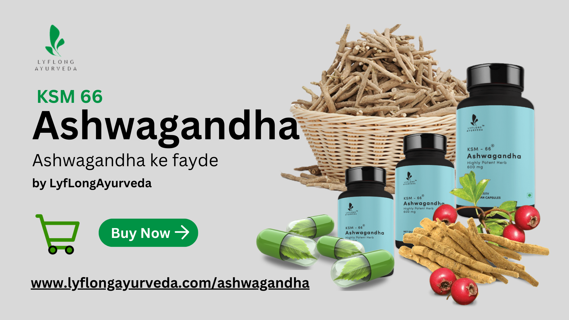Ashwagandha ke fayde By Lyflong Ayurveda Telegraph