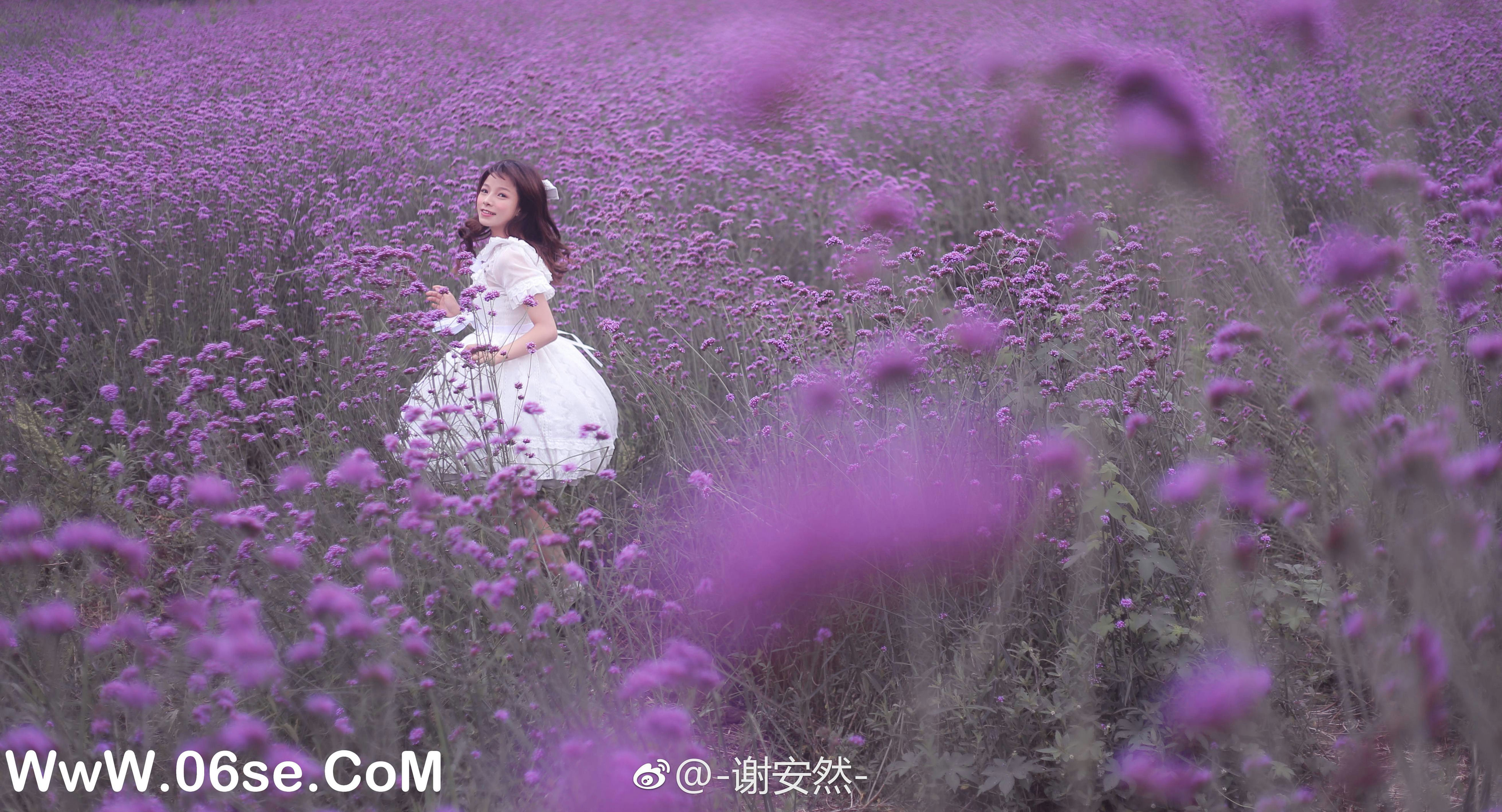 图片[102]-014 迷失幻境系列 – 第014期（洛丽塔lolita小裙子） [102P-161.11 MB]-六色网