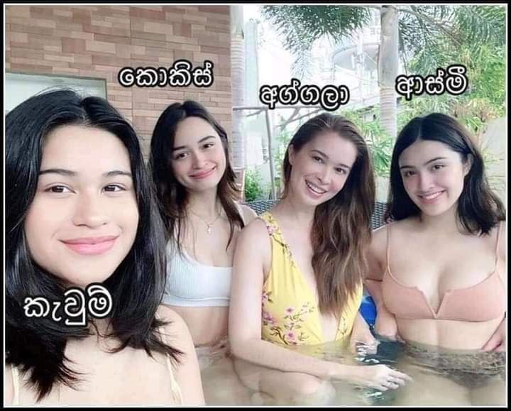 0c831c23a50174a2ef0d4.jpg