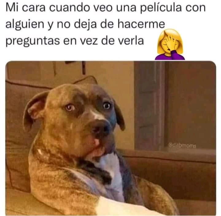 Cuando no te dejan ver una película