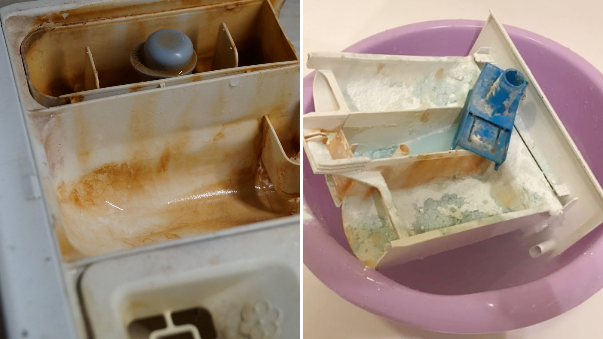 Генеральная чистка стиральной машины — пошаговый гайд – Telegraph